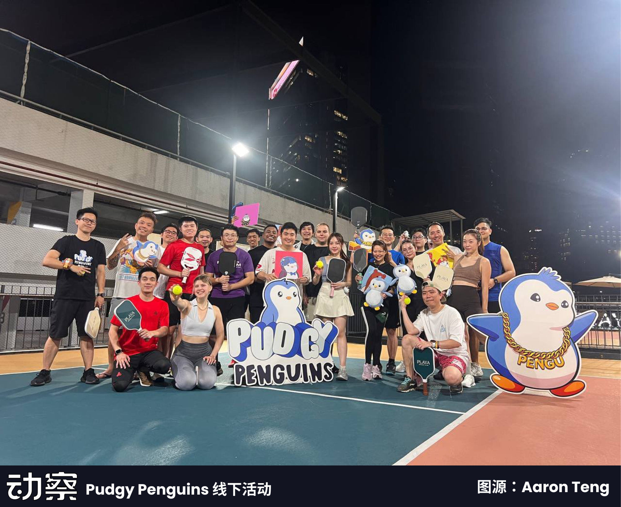 神经日报专访Pudgy Penguins CEO：我们要超越 Hello Kitty，也要超越 Pokémon